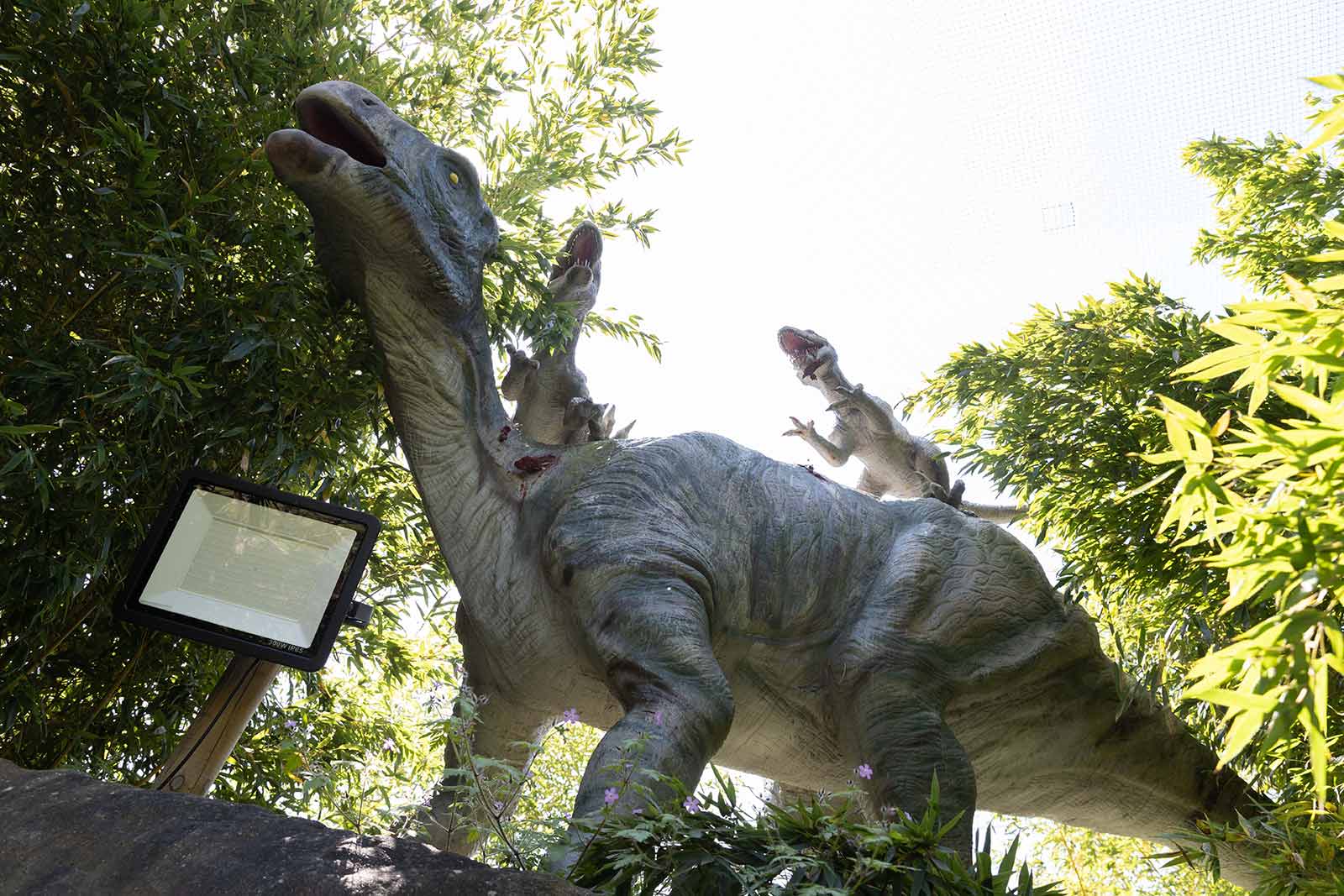 Jurassic Encounter Adventure Golf